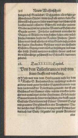 Das XXXIIII. Capitel.