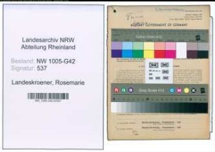 Entnazifizierung Rosemarie Landeskroener , geb. 24.02.1919 (Dolmetscherin)