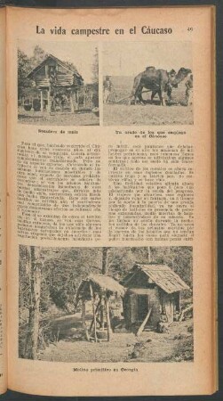 La vida campestre en el Cáucaso