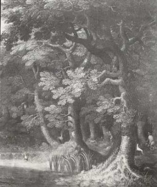 Waldlandschaft : Waldlandschaft, Detail, 16. Jh.