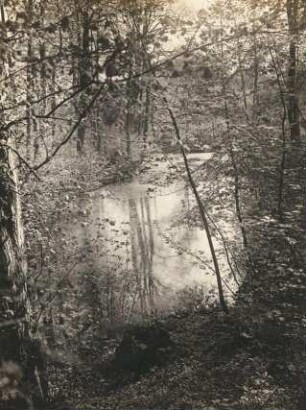 Großwelka (Bautzen-Großwelka). Park