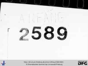 MF Mau 2589