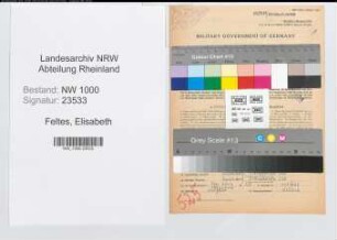 Entnazifizierung Elisabeth Feltes, geb. 08.11.1920 (Beamter)
