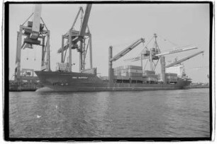 MSC Suffolk (1983), Peterson, Rendsburg