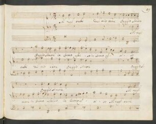 Sol negl'occhi del mio bene; V (2), b; g-Moll; DTB 6/2 69