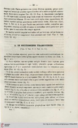 A. In sectionibus tranversis