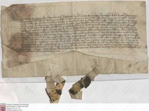 Adolf, Erwählter und Bestätigter [Erzbischof] zu Mainz (Mentze), des Heiligen Römischen (Romischen) Reichs durch Germanien Erzkanzler und Kurfürst...