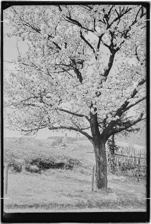Blick auf Papstdorf im Frühling