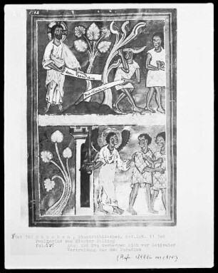 Psalterium (aus Kloster Polling) — Bildseite mit zwei Miniaturen übereinander, Folio 5verso