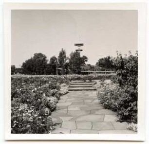 Deutsche Gartenschau 1950 auf dem Killesberg, Stuttgart: Stufen und Plattenweg, Aussichtsturm (sog. Zaiser-Turm)