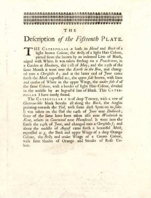 The Description of the Fifteenth Plate