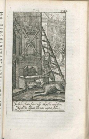 [Capvt VII]