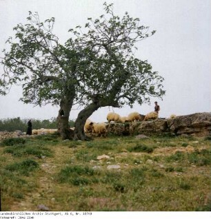 Israel: Bethel