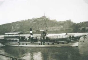Dampfboot an der Moselmündung