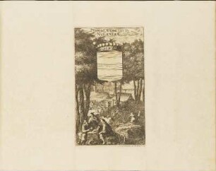 Kupferstich: Insigne Comitatus Nylandiae