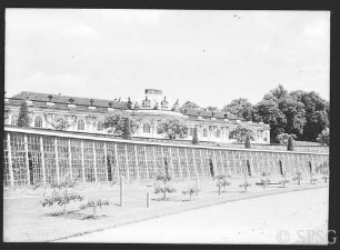 Potsdam, Schloss Sanssouci, Terrasse.