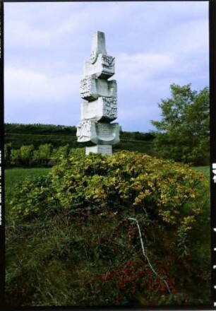 Munzingen: Tuniberg, Rebstockdenkmal im Weinberg