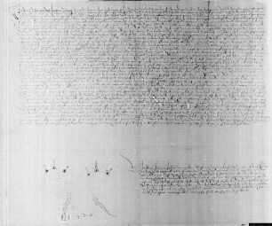 Testament von Trippelvoeth, Frau Johan, genannt Staell, geb. Else …