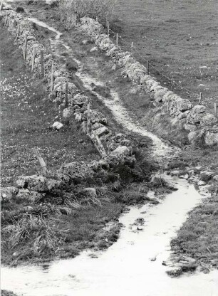 Feldweg in der Landschaft der Auvergne