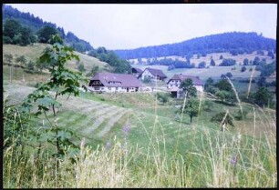 Pfaffenberg: Berghöfe am Zeller Blauen, Käsern