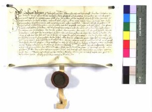 Lenhard Belzner Träger der Gemeinde Seiderzell, bekennt, daß er von Schenk Wilhelm die obengenannten Güter erhalten hat.