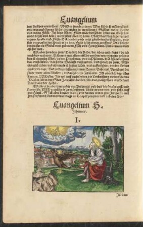 Evangelium S. Johannes.