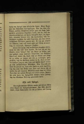 Affe und Spiegel