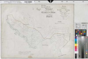 Drolshagen (Drolshagen), Dumicke (Drolshagen), Brachtpe (Drolshagen), Separation Wenkhausen, Bl. 2 Urkarte I Dumicke Flur 8
