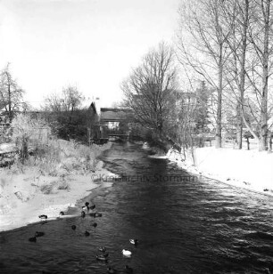 Trave: Beste: Zusammenfluss: vorn Wassergeflügel im Wasser: rechts und links am Ufer Eisränder: hinten Fußgängerbrücke: dahinter Gebäude hinter Bäumen: Winter