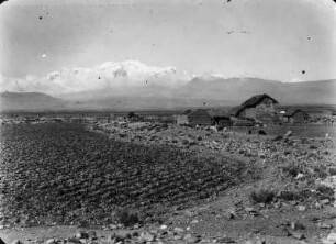 Pampa von Achacachi : Blick auf die Pampa von Achacachi. Im Hintergrund der Illampu.