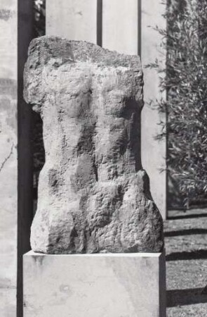 Torso