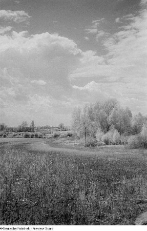 Wiesenlandschaft