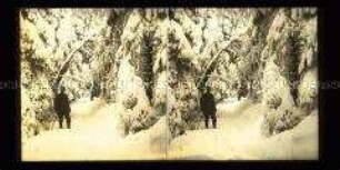 Wanderer im verschneiten Wald