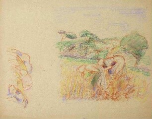 Auf dem Feld (Studienblatt)