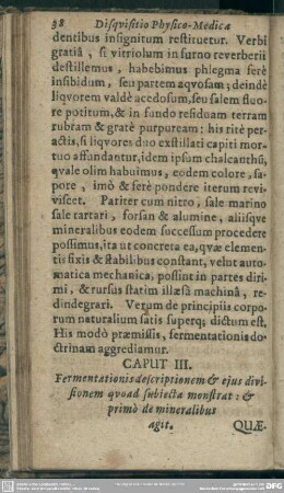 Caput III. Fermentationis descriptionem & ejus divisionem quoad monstrat: & primo de mineralibus