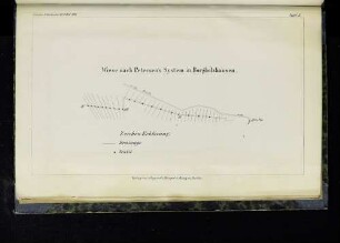 Tafel X. Wise nach Petersen´s System in Borgholzhausen.