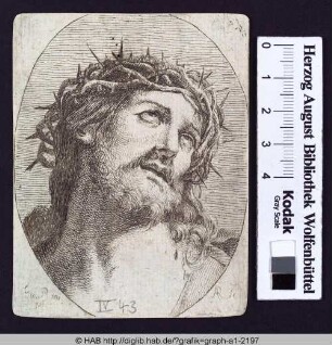Christus mit Dornenkrone.