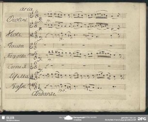 Einlage Aria (Wolfgang Amadeus Mozart): "Eh Signor voi v'ingannate"