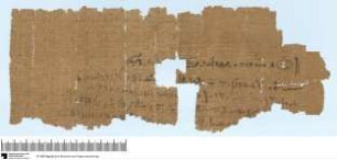 Demotischer Papyrus, Quittung