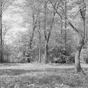 Landschaftsbild. Märkische Landschaft. : Wobraz krajiny. Markowska krajina.