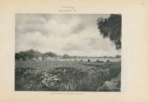 Peking. Kaiserstadt VIII