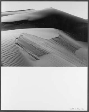 Dünen bei Quargla : Dünen in der algerischen Sahara nahe der Stadt Quargla