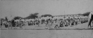 Britisches Kamelkorps in Khartum [Reise nach dem Sudan, Band 1]
