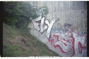 FLy