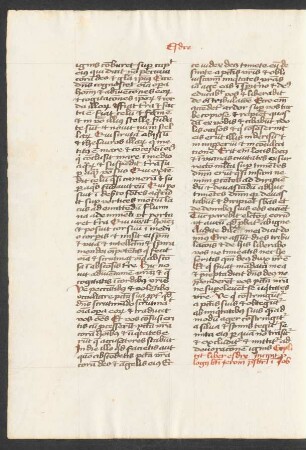 Prologi in librum Iob
