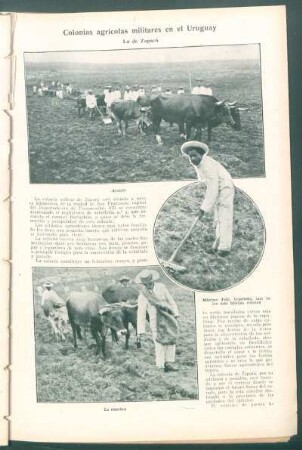 Colonias agrícolas militares en el Uruguay : La de Zapará