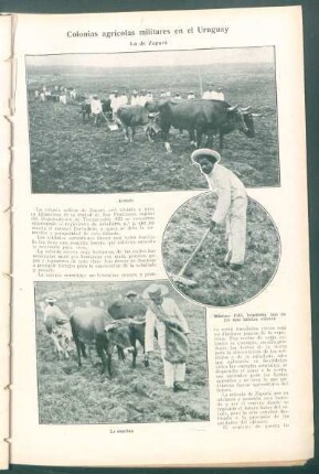 Colonias agrícolas militares en el Uruguay : La de Zapará