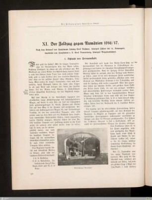 XI. Der Feldzug gegen Rumänien 1916/17
