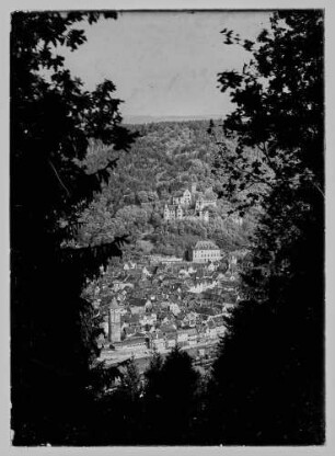 Blick durch Bäume auf Altstadt, Spitzen Turm und Burg