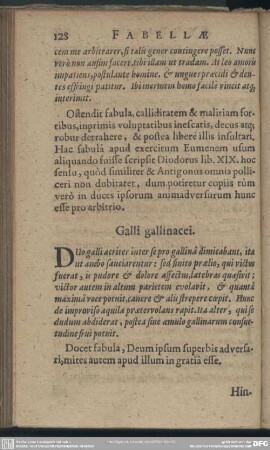 Galli gallinacci